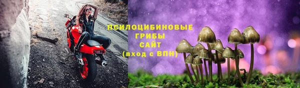 ГАЛЛЮЦИНОГЕННЫЕ ГРИБЫ Горно-Алтайск